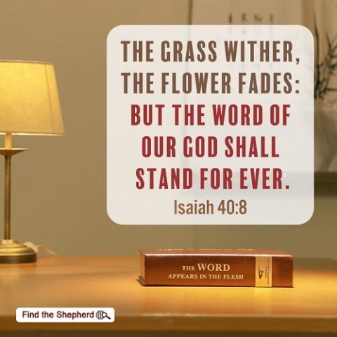 Isaiah 40:8,the word of our God shall stand for ever