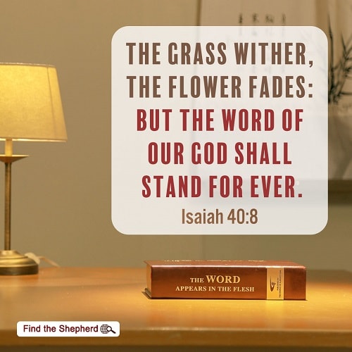 Isaiah 40:8,the word of our God shall stand for ever