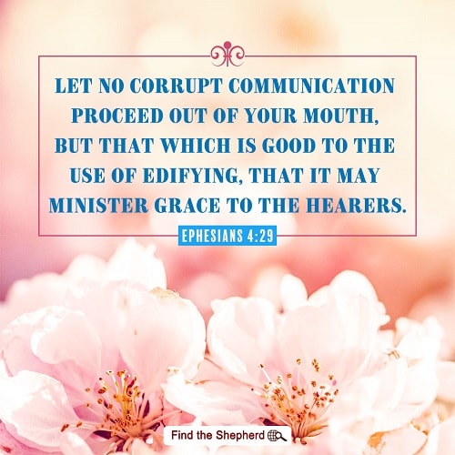 Matthew 11-12,say something good for people