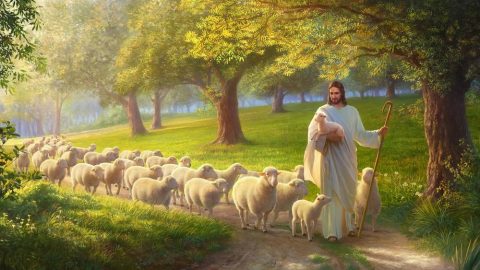the Parable of the Lost Sheep