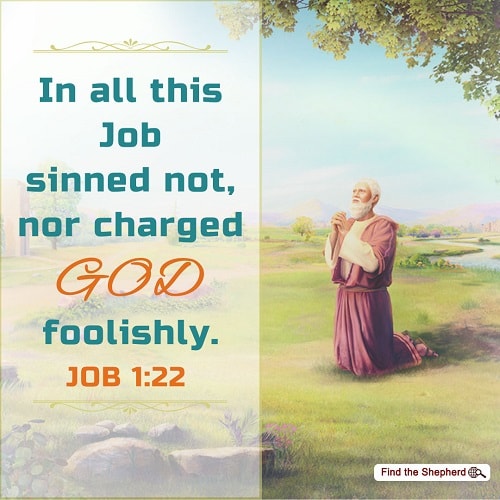 Job,pursued fearing God