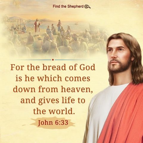 John 6-33,God Himself is life