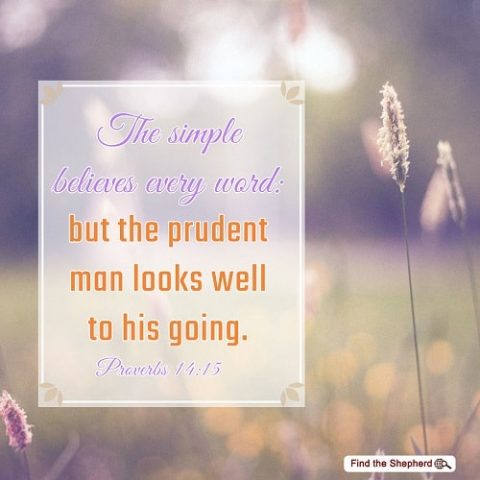 Proverbs 14-15,A Wise Approach