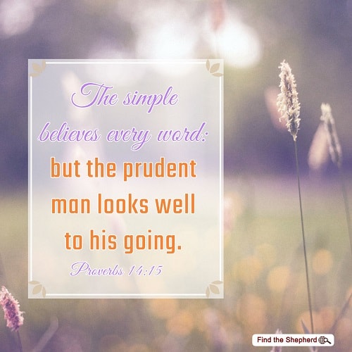 Proverbs 14-15,A Wise Approach