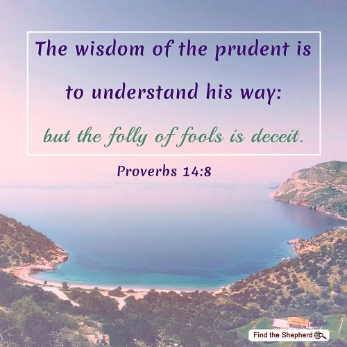 Proverbs 14-8,be a wise and prudent man