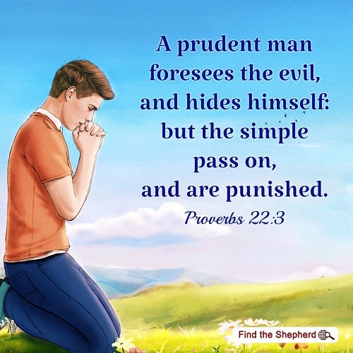 Prudent Men’s Way of Practice—A Commentary on Proverbs 22:3