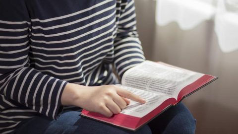 What “the Book” in Revelation Refers to