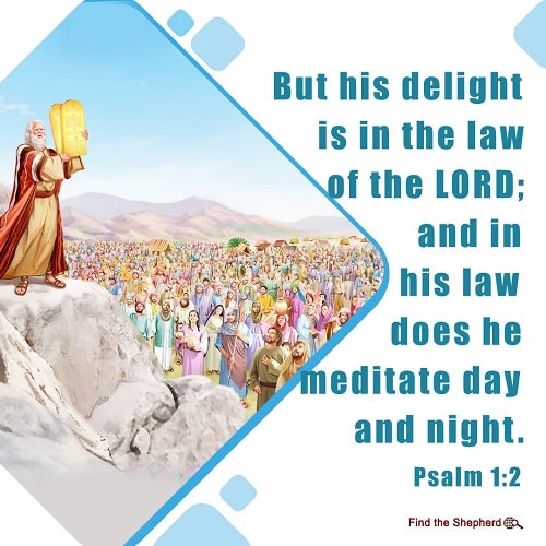 Psalm 1-2,All People Live in God's Light