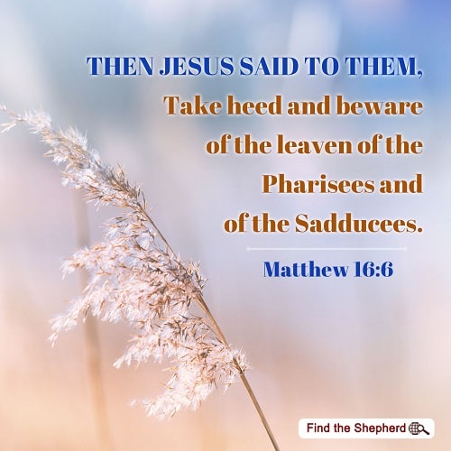 Matthew 16:6 - Beware of the Teaching of the Pharisees and of the Sadducees