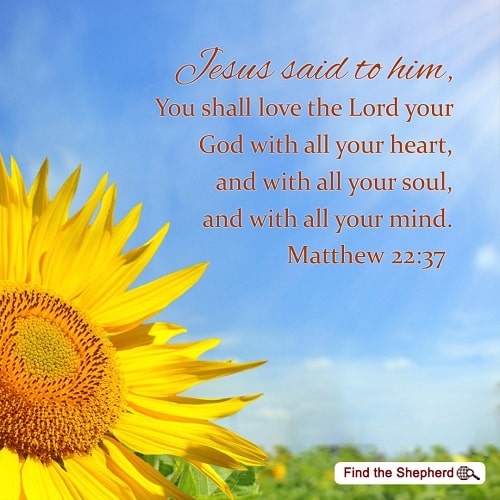 Matthew 22:37 - Those Who Love God Live a More Meaningful Life