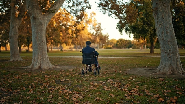 One person in a wheelchair