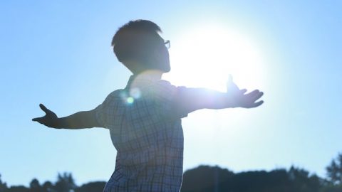 Sunlight,life,germination