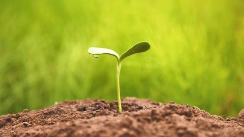 Afflicted With Lymphoma, I Was Brought Back From the Brink of Death by God