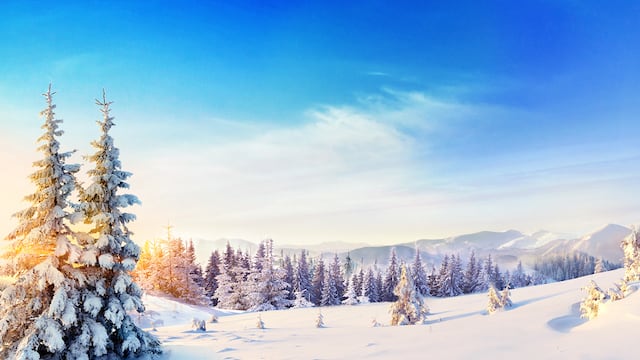 What Approach Should Christians Take to God’s Trials?