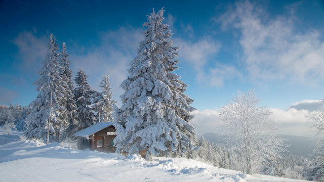 Three Key Elements Help You Gain God’s Approval in Trials