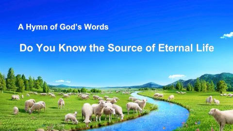 Devotional Worship Song