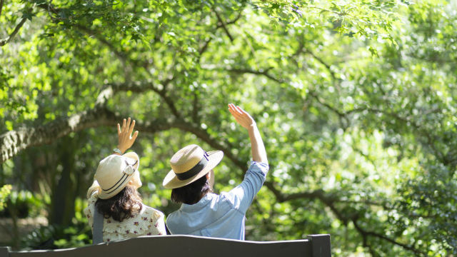 The Basic Environment for Life That God Creates for Mankind: Temperature