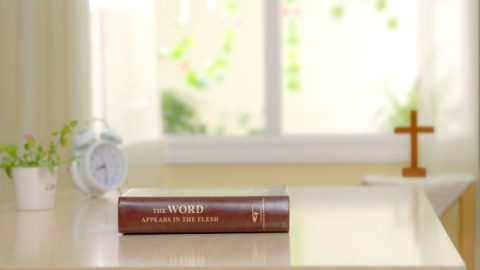 God has done a further stage of work to judge, cleanse, and save mankind