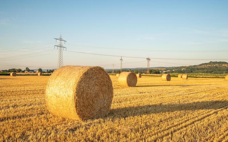 Many Are Called, but Few Are Chosen