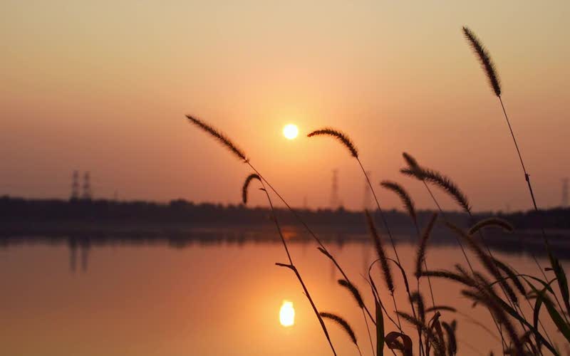 Those Who Are Incompatible With Christ Are Surely Opponents of God