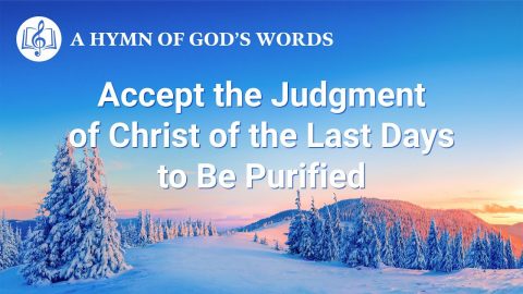 Accept the Judgment of Christ of the Last Days to Be Purified