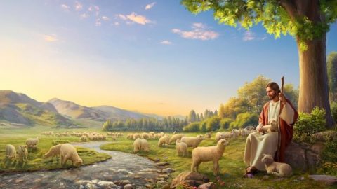 What is the incarnation? What is the essence of the incarnation?