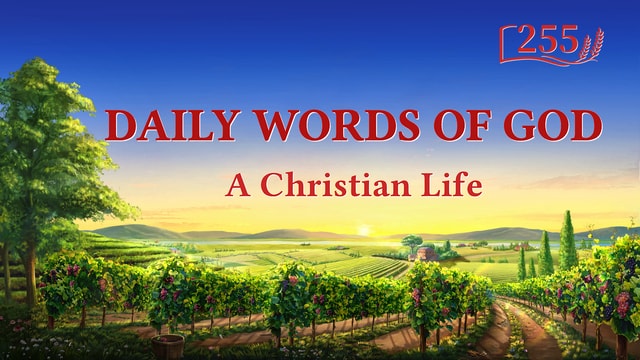 Daily Words of God: God's Disposition and What He Has and Is | Excerpt 255